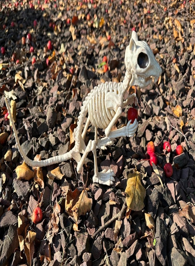 Crazy Bonez Skeleton Squirrel - 7" Halloween Skeleton Animal Decoration with Bendable Tail, Durable All-Weather Plastic, Realistic Bone Detail for Indoor Outdoor Spooky Décor and Garden Displays - Image 2